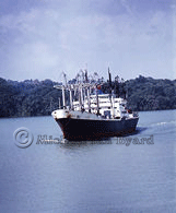 Japanese Freighter heading homewards